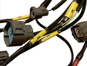 Budget D & B Series Tucked Engine Harness Civic Integra B16 B18 B20 D16 D15 USA - Parts Agent