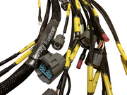 Budget D & B Series Tucked Engine Harness Civic Integra B16 B18 B20 D16 D15 USA - Parts Agent
