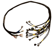 Budget D & B Series Tucked Engine Harness Civic Integra B16 B18 B20 D16 D15 USA - Parts Agent