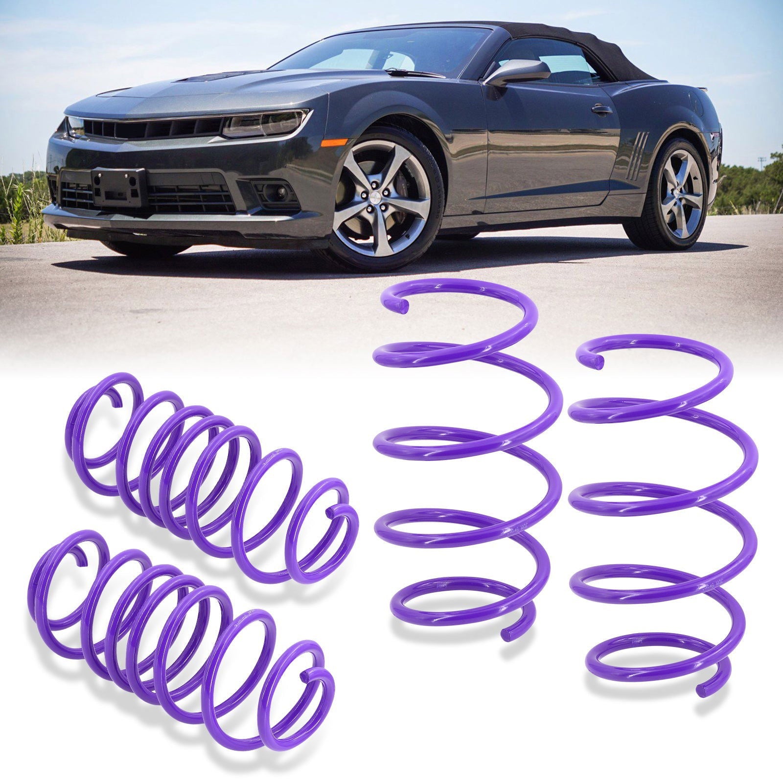 Chevrolet Camaro V8 2010-2015 Lowering Springs Purple (Front ~1.0" / Rear ~1.0") - Parts Agent