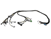 F Series Tucked Engine Harness Kit For Honda Acura Accord F18 F20 F22 F23 Hatch - Parts Agent