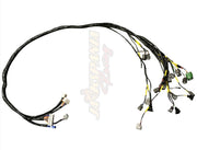 F Series Tucked Engine Harness Kit For Honda Acura EK EG Civic Integra Accord Si - Parts Agent