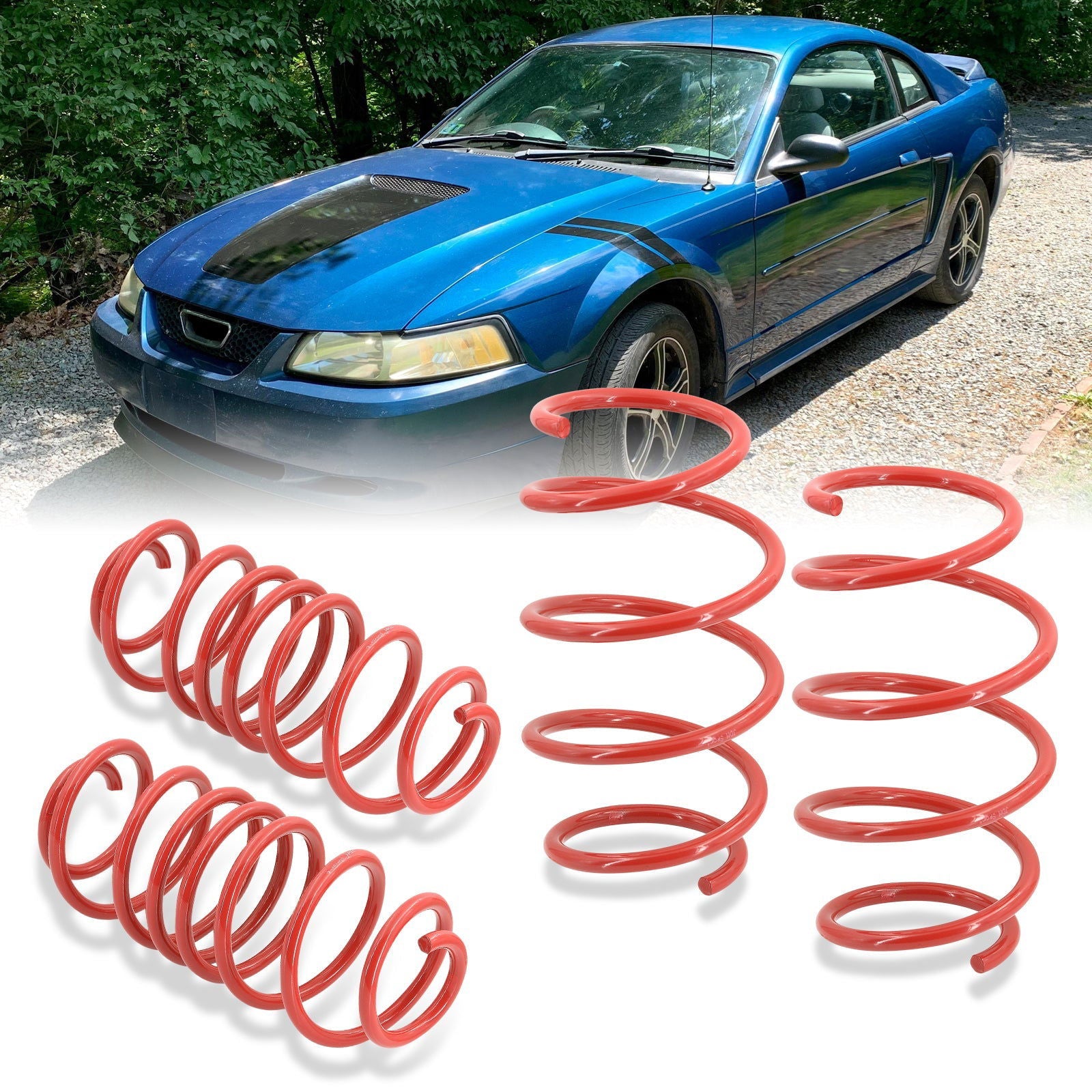 Ford Mustang 1979-2004 (Non Cobra) Lowering Springs Red (Front ~1.5" / Rear ~1.5") - Parts Agent