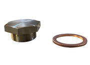 Heater Core Coolant Block Off Plug K20 K24 For Civic Integra EG EK DC2 K Swap DC - Parts Agent