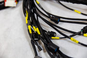 K20 K24 K-Series Tucked Engine Harness For Honda Acura K-Swap Integra CRX EK EG - Parts Agent