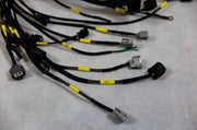 K20 K24 K-Series Tucked Engine Harness For Honda Acura K-Swap Integra CRX EK EG - Parts Agent