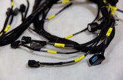 K20 K24 K-Series Tucked Engine Harness For Honda Acura K-Swap Integra CRX EK EG - Parts Agent