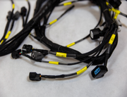 K20 K24 K-Series Tucked Engine Harness For Honda Acura K-Swap RSX Civic Si EP3 - Parts Agent