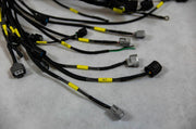 K20 K24 K-Series Tucked Wiring Harness For Honda Acura K-Swap Integra CRX EK EG - Parts Agent