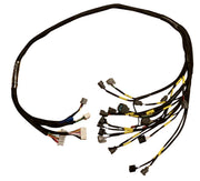 OBD2 Budget D & B Series Tucked Engine Harness Civic Integra B16 B18 B20 D16 D15 - Parts Agent