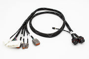 V2 Fuel Tech FT550 Standalone Honda K20 K24 K Series Jumper Adapter Sub Harness - Parts Agent